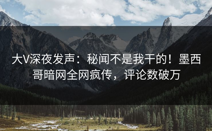 大V深夜发声：秘闻不是我干的！墨西哥暗网全网疯传，评论数破万