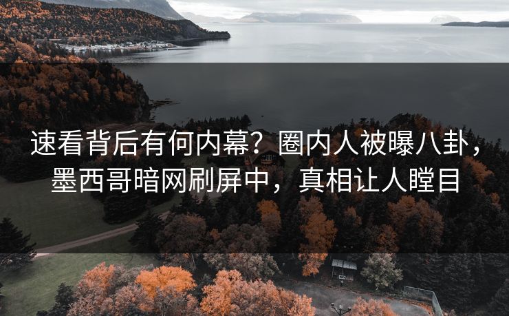 速看背后有何内幕？圈内人被曝八卦，墨西哥暗网刷屏中，真相让人瞠目