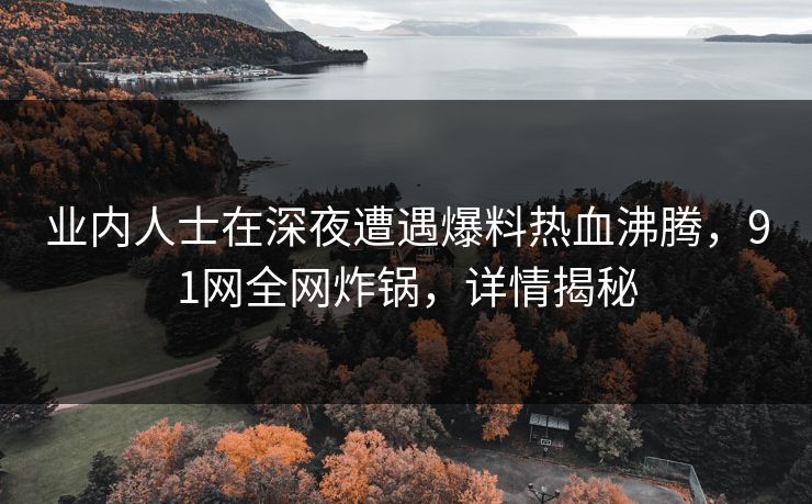 业内人士在深夜遭遇爆料热血沸腾，91网全网炸锅，详情揭秘