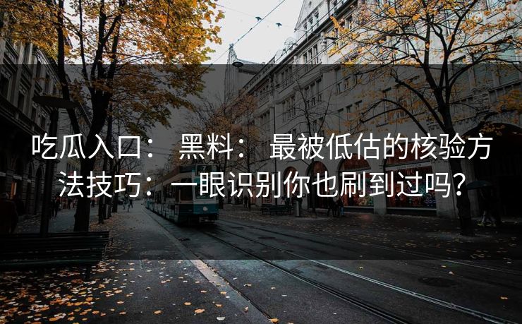 吃瓜入口： 黑料： 最被低估的核验方法技巧：一眼识别你也刷到过吗？
