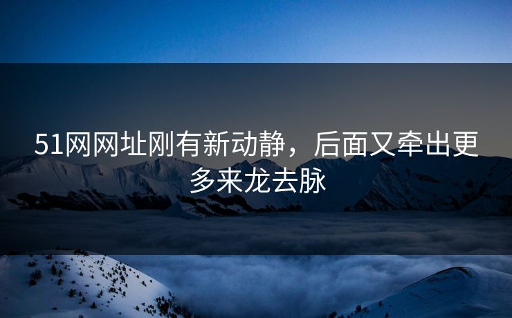 51网网址刚有新动静，后面又牵出更多来龙去脉