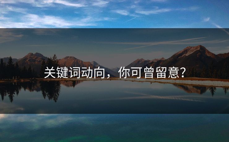关键词动向，你可曾留意？